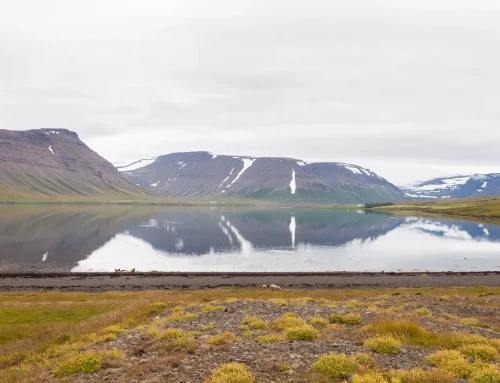 Dýrafjarðarpistill